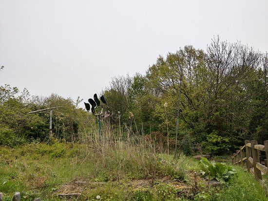 Gillespie Parkı ve Ekoloji Merkezi